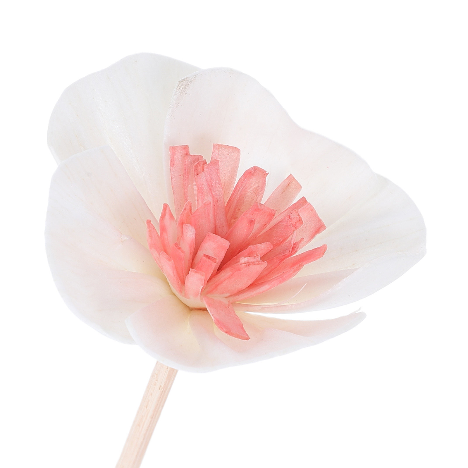 10本入り エッセンシャルオイルディフューザースティック ブ - Home Fragrance Oil Diffuser のレビューと価格