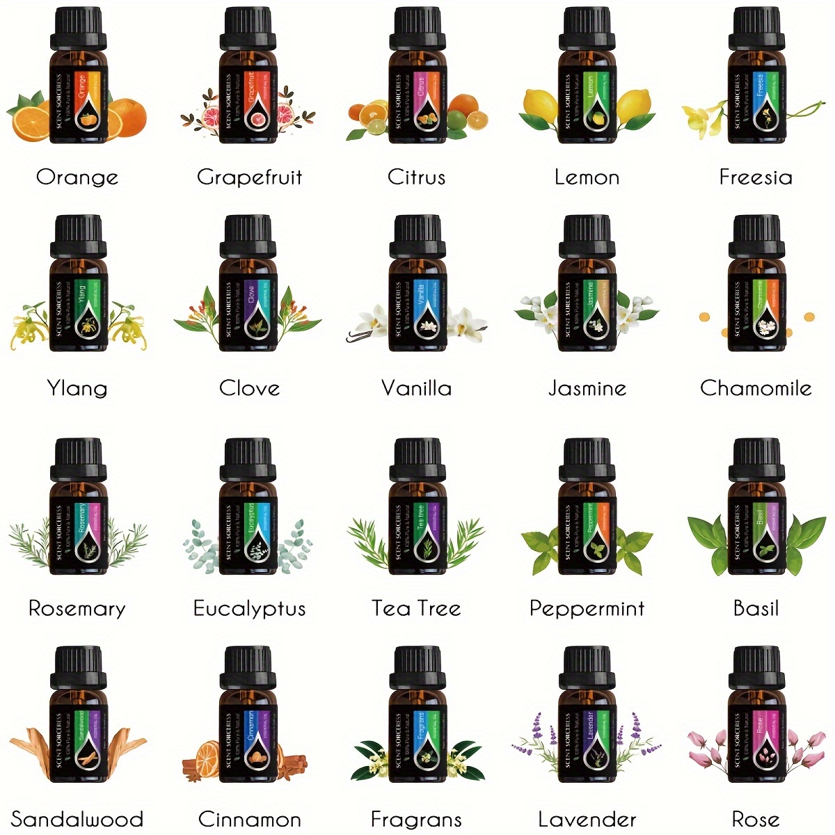 20 ピース/セットクラシックブランドエッセンシャルオイルセ - Fragrance Oil Set のレビューと価格